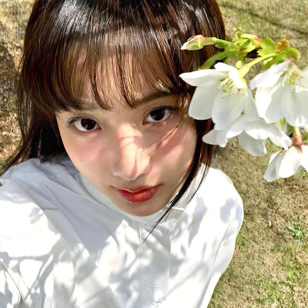 李清照